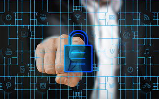 米兰体育正版平台-校园体育安全管理策略研究，校园体育安全管理策略研究报告