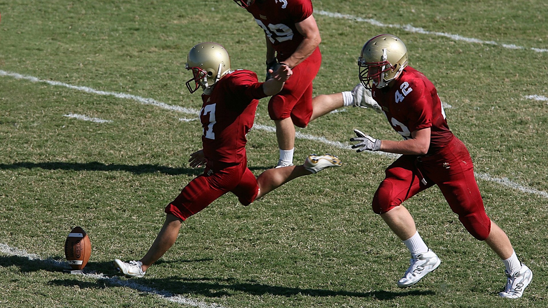“萌宠参与起跑仪式”活动 只跑起点几十米安全距离