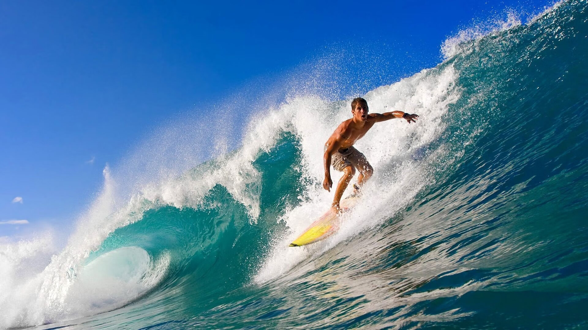 世界游泳锦标赛男子100米自由泳决赛 破纪录大战一触即发